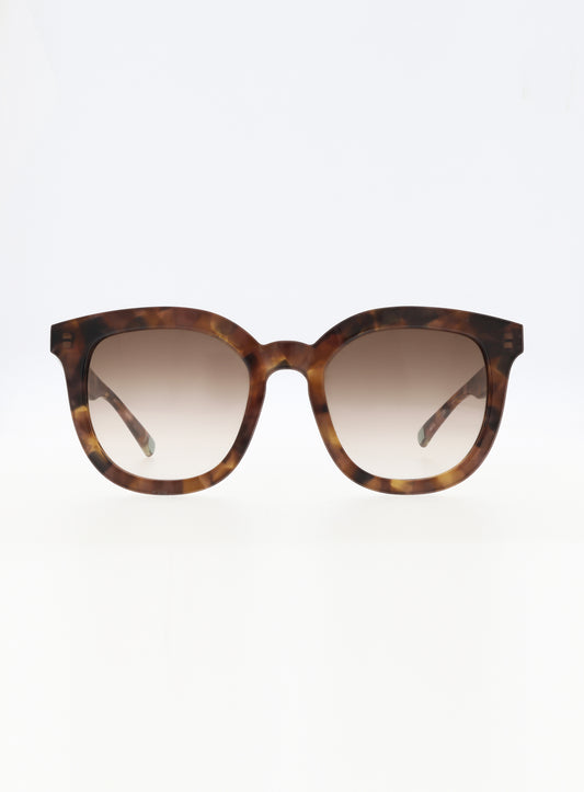 Farbe_brown funky