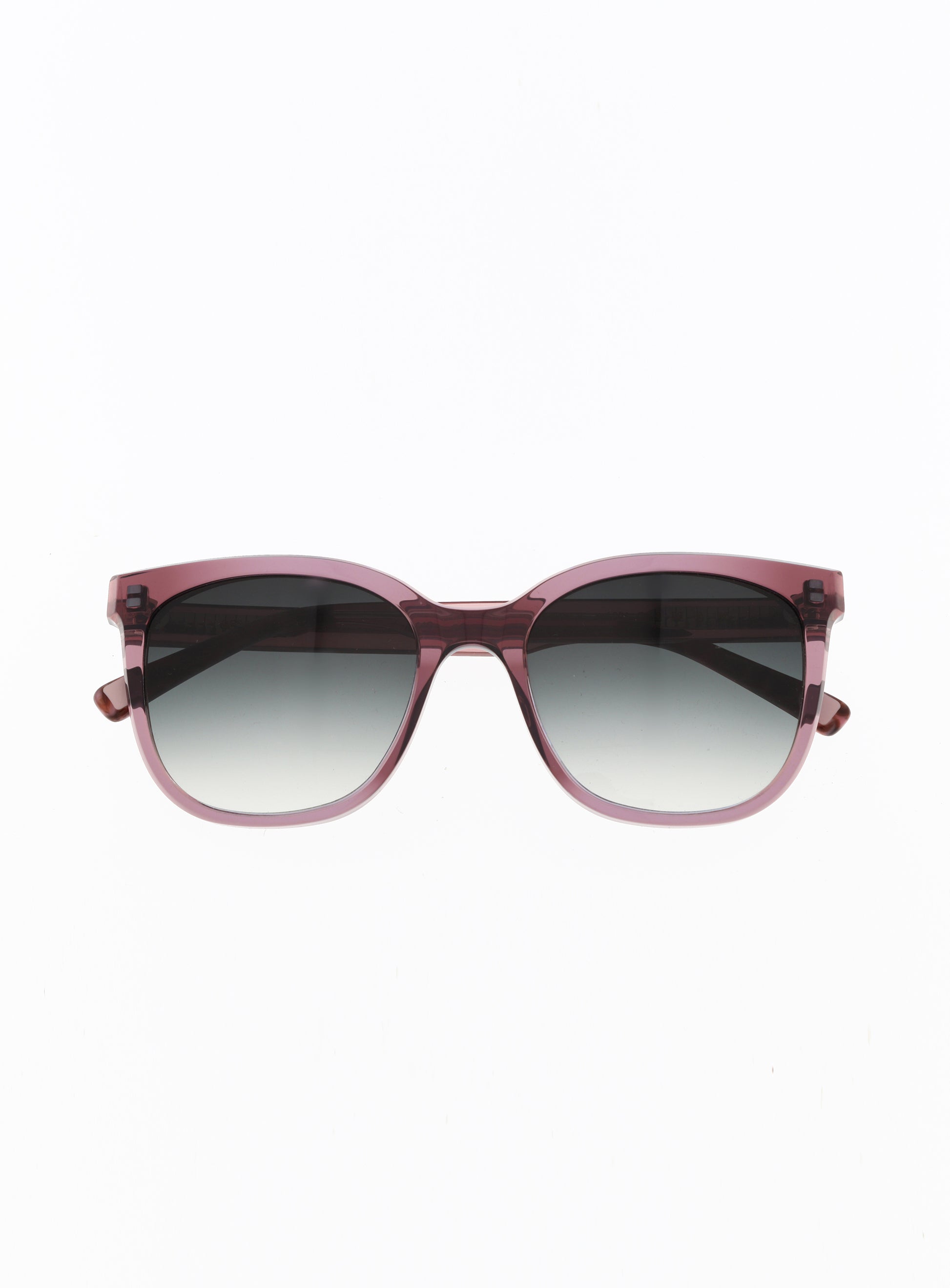 Farbe_blue berry
