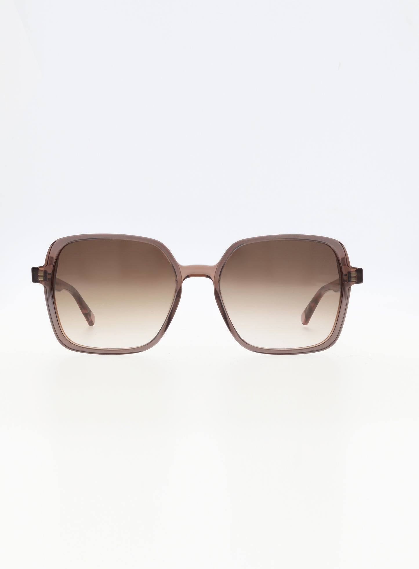 Farbe_blueberry cognac