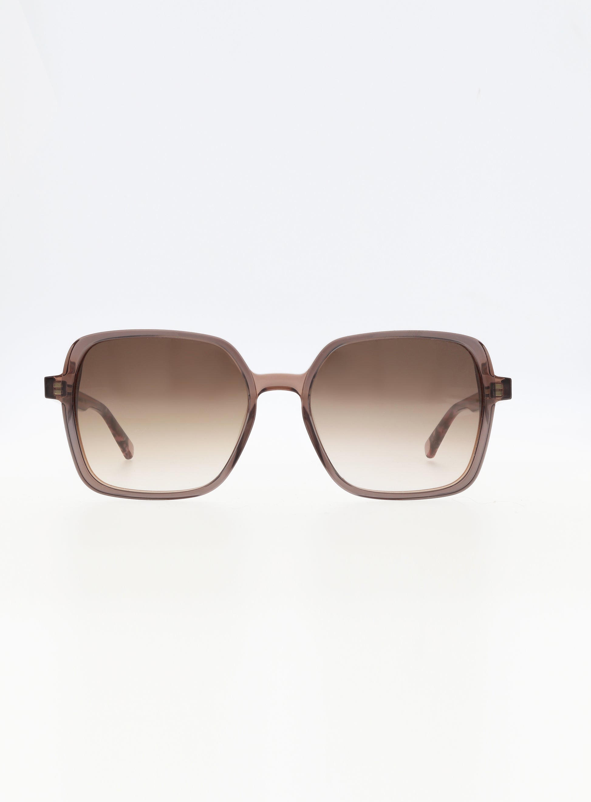 Farbe_blueberry cognac
