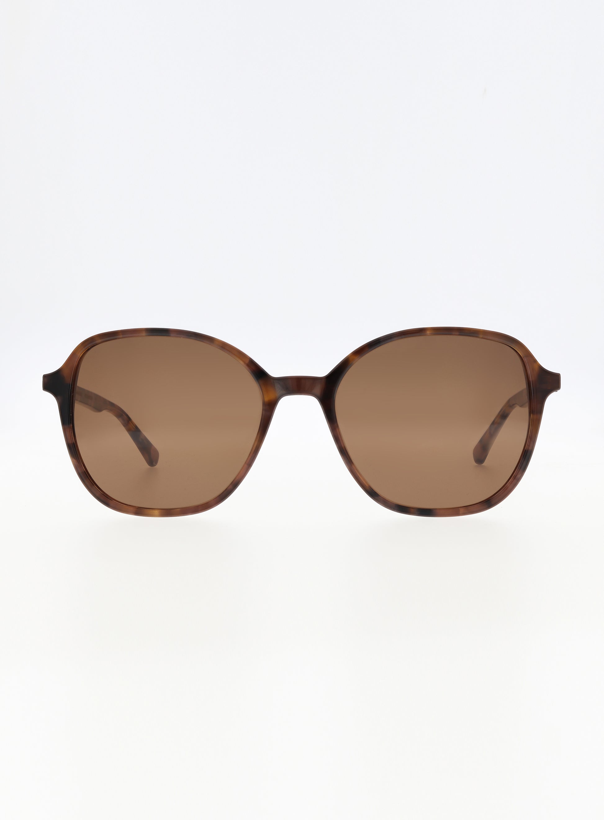 Farbe_003 brown funky