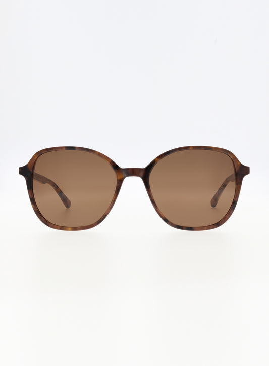 Farbe_003 brown funky