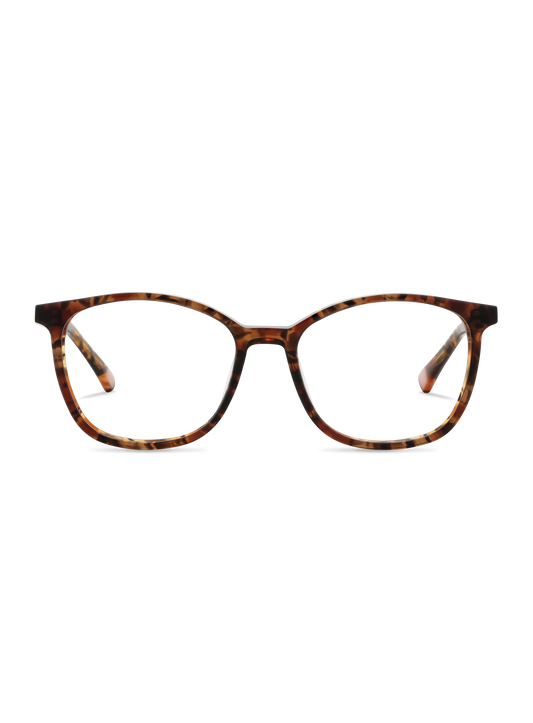 Farbe_brown funky 001
