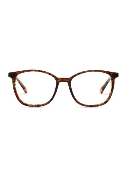 Farbe_brown funky 001