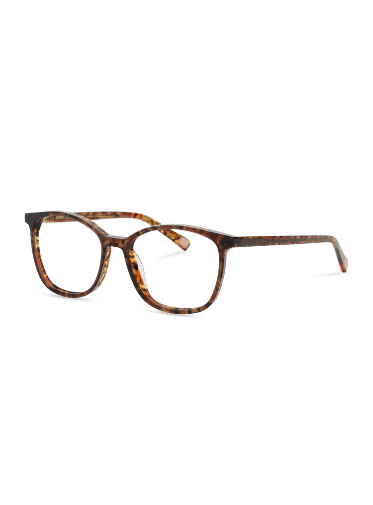 Farbe_brown funky 001