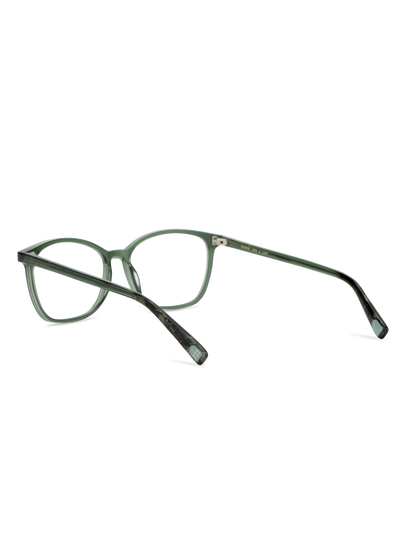 Farbe_clear olive 003