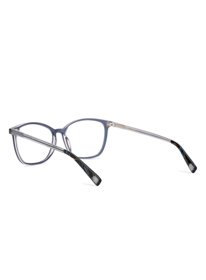 Farbe_blue rose air 004