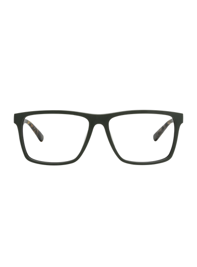 Farbe_olive 003